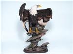PEC170 Eagle on Rock
